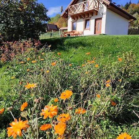 Domek alpejski Słoneczna Chałupka Zawoja