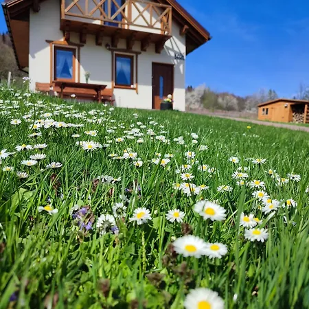 Domek alpejski Słoneczna Chałupka Zawoja