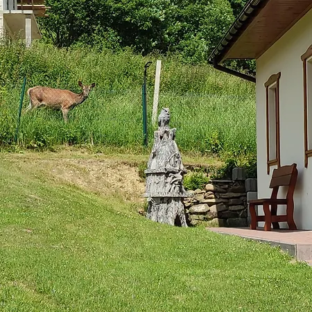 Sloneczna Chalupka *